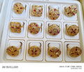 Elegant Micro Gold-Plated Daily Wear Ring Collection